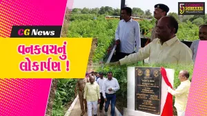ભરૂચ: સાંસદ મનસુખ વસાવાના હસ્તે ઝઘડિયાના હરીપુરા ગામ નજીક વનકવચનું લોકાર્પણ, 20 હજાર વૃક્ષનું કરાયુ વાવેતર
