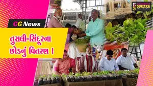 ભરૂચ: વિશ્વ પર્યાવરણ દિવસ નિમિત્તે પાંજરાપોળ ખાતે તુલસી અને સિંદૂરના છોડનું વિતરણ કરાયું