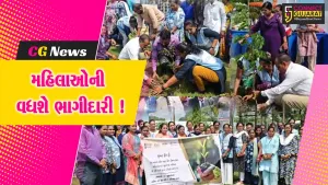 ભરૂચ: વિશ્વ પર્યાવરણ દિવસે નગરપાલિકા દ્વારા અમૃત મિત્ર યોજનાનો કરાયો પ્રારંભ, મહિલાઓની ભાગીદારીથી પર્યાવરણનું કરાશે જતન