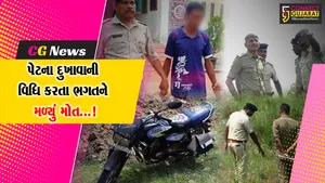 નવસારી : વાંસદામાં પેટના દુખાવાની વિધિ કરાવવા ગયેલા યુવકે ભગતની પથ્થર મારીને હત્યા કરી નાખતા ચકચાર