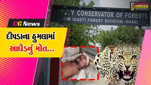 અમરેલી : ઘરની બહાર સૂતા આધેડ વ્યક્તિને દીપડાએ ફાડી ખાતા સારવાર દરમ્યાન મોત નીપજ્યું...