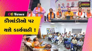 ભરૂચ: મનરેગા કૌભાંડ મામલે વડોદરાના સાંસદ હેમાંગ જોશીનું નિવેદન, ભાજપ કોઈ પણ કૌભાંડીઓને છોડતી નથી