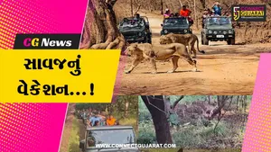 જૂનાગઢ : ગીર જંગલમાં વનરાજનું વેકેશન,15 જૂનથી 16 ઓક્ટોબર સુધી પ્રવાસીઓ માટે અભયારણ્ય બંધ