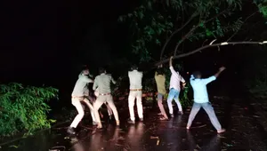 ભરૂચ: વાલિયા ઝઘડિયા માર્ગ પર વિશાળકાય વૃક્ષ ધરાશાયી થતા વાહનવ્યવહાર થયો બંધ, પોલીસ જવાનોએ બાજુ પર ખસેડયુ