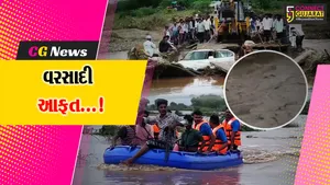 અમરેલી : ભારે વરસાદથી તબાહી,જોલપરી નદીમાં કાર તણાતા ચાલકનું કરુણ મોત,30થી વધુ પશુઓ મોતને ભેટ્યા