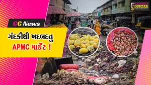 ભરૂચ: શહેરમાં તાજુ શાકભાજી પહોંચાડનાર APMC માર્કેટમાં જ ગંદકીના દ્રશ્યો, વેપારીઓમાં આક્રોશ !