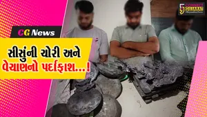 અંકલેશ્વર : સીસું ધાતુના જથ્થા સાથે પોલીસે ત્રણ ઇસમોની કરી ધરપકડ,રૂપિયા 4 લાખથી વધુનો મુદ્દામાલ કર્યો જપ્ત