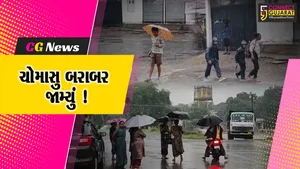ભરૂચ: મોર્નિંગ શિફ્ટમાં જ મેઘરાજાની ધબધબાટી, હાંસોટમાં 3,વાલિયામાં 2 ઇંચ વરસાદ
