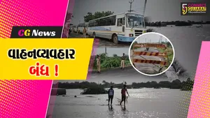 ભરૂચ: હાંસોટથી કંટીયાળજાળને જોડતા માર્ગ પર વનખાડીનું પાણી ફરી વળ્યું, વાહનવ્યવહાર બંધ
