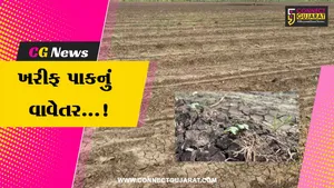 ભરૂચ : વરસાદની શરૂઆત સાથે જ ખેડૂતો ખરીફ પાકના વાવેતરમાં જોડાયા,730 હેકટરથી વધુ પિયત કપાસનું કરાયું વાવતેર