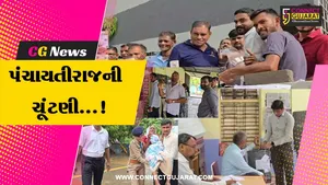 ભરૂચ : જિલ્લાની 67 ગ્રામ પંચાયત રાજની ચૂંટણી માટે યોજાયું મતદાન,મતદારોનો જોવા મળ્યો ઉત્સાહ