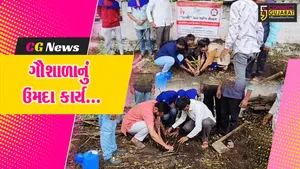 Kandhenu gaushala