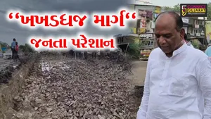 ઝઘડિયા : SOUને જોડતો માર્ગ બન્યો બિસ્માર,સાંસદ મનસુખ વસાવાએ સ્થળ નિરીક્ષણ કરીને યોગ્ય રીતે પેચવર્ક કરવાની આપી સૂચના