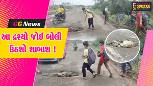 studtn roads