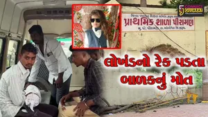 અંકલેશ્વર:પીરામણ પ્રાથમિક શાળામાં 6 વર્ષના બાળક પર લોખંડનો રેક પડતા મોત નિપજ્યું