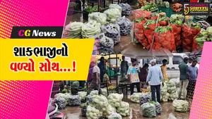 સાબરકાંઠા : અવિરત વરસી રહેલા વરસાદે શાકભાજીના પાકનો વાળ્યો સોથ,ઉત્પાદનમાં ઘટાડો ભાવમાં નોંધાયો વધારો