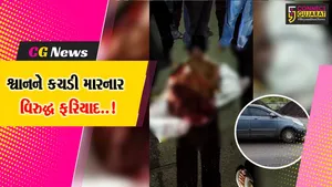 સુરતના ઇતિહાસની પ્રથમ ઘટના..! : કારની અડફેટે શ્વાનને કચડી મારનાર અજાણ્યા કારચાલક વિરુદ્ધ પોલીસ ફરિયાદ નોંધાય...