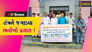 ભરૂચ: LJPએ પીપોડી વગાડી તંત્રને જગાડવા કર્યો પ્રયાસ, જર્જરીત બ્રિજોના તાત્કાલિક સમારકામની માંગ