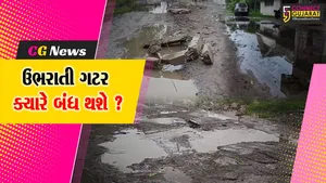 ભરૂચ: રહાડપોર ગામના મિલન નગરમાં બિસ્માર માર્ગ- ઉભરાતી ગટરની સમસ્યા, સ્થાનિકોએ પ્રશ્નના નિરાકરણની કરી માંગ