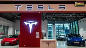 TESLAના પ્રથમ શોરૂમનું ભારતમાં દમદાર ઓપનિંગ : માત્ર સિંગલ ચાર્જમાં જ દોડશે 574 કિમી