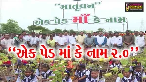 ભરૂચ : વાલિયાના ડેહલી ગામે 20 હજાર વૃક્ષોના વાવેતર થકી માતૃવનનું નિર્માણ, વનમંત્રી મુકેશ પટેલ રહ્યા ઉપસ્થિત