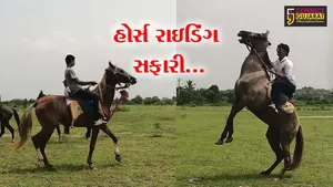 ભરૂચ જીલ્લામાં પ્રથમ વખત ઝઘડીયાના હરીપુરા ગામે હોર્સ રાઇડિંગ સફારી યોજાય, ઘોડે સવારોએ ઉત્સાહપૂર્વક ભાગ લીધો