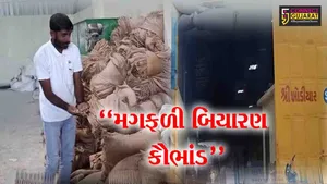 જૂનાગઢ : ખેડૂતોને અપાતા મગફળીના બિયારણના કૌભાંડથી ખળભળાટ,બારોબાર બિયારણ વેચી દેવાયું હોવાનો આક્ષેપ