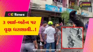 વલસાડ : મહાકાય વૃક્ષ ધરાશાયી થતાં મોપેડ પર જઈ રહેલ 3 ભાઈ-બહેન પર પડ્યું, એક બાળકીનું મોત, ઘટના CCTVમાં કેદ...