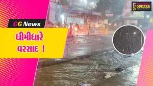 ભરૂચ: મેઘરાજાના શ્રાવણના સરવરીયા, ઠેર ઠેર વરસાદ વરસતા વાતાવરણમાં ઠંડક