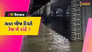 ભરૂચ: નર્મદા નદીની જળસપાટી 20 ફૂટને પાર, ડેમમાં પાણીની આવક ઘટી છતાં 3.95 લાખ ક્યુસેક પાણી છોડવાનું યથાવત !
