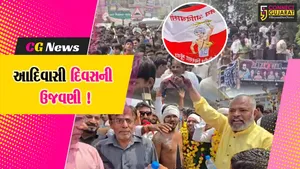 ભરૂચ: વિશ્વ આદિવાસી દિવસ નિમિત્તે વિશાળ બાઇલ રેલીનું આયોજન, પરંપરાગત પોશાકમાં યુવાનો જોડાયા