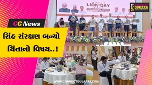 જુનાગઢ : સાસણ સિંહ સદન ખાતે આંતરરાષ્ટ્રીય સેમિનાર યોજાયો, સિંહ સરંક્ષણ અંગે વિસ્તૃત ચર્ચા કરાય...