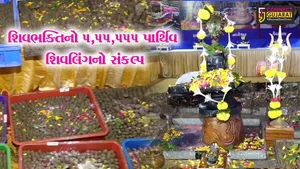 સુરત :  શ્રાવણ મહિનામાં 5,55,555 પાર્થિવ શિવલિંગ બનાવી તેની પૂજા અર્ચનાના સંકલ્પને સાર્થક કરતા શિવભક્ત