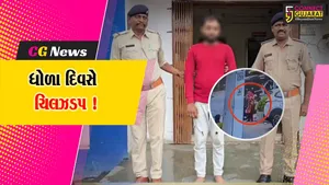 અંકલેશ્વર: SOGએ શાંતિનગરમાંથી ચોરીના 90 ગેસ સિલિન્ડર સાથે આરોપીની કરી ધરપકડ, રૂ.1.26 લાખનો મુદ્દામાલ જપ્ત
