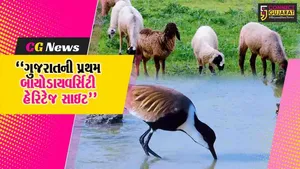 કચ્છમાં ઇનલેન્ડ મેન્ગ્રોવ ગુનેરી સાઇટને ગુજરાતની પ્રથમ 
