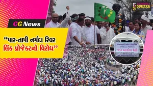 વલસાડ : ધરમપુરમાં પાર-તાપી નર્મદા રિવર લિંક પ્રોજેક્ટના વિરોધમાં ડેમ હટાવો સમિતિના નેતૃત્વમાં જનઆક્રોશ રેલી યોજાઈ