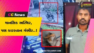 સુરત : 3 વર્ષીય બાળકનો ટ્રેનમાં ટોઈલેટના ડસ્ટબિનમાંથી મૃતદેહ મળ્યો, માસીયાઈ ભાઈએ જ હત્યા કરી : પોલીસ