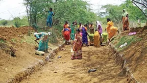 fake job card cancellation list  ,top states with fake job card deletions  ,BJP ruled states fake job cards,  NDA states fake job card deletion,  TMC alleges Central bias,  West Bengal minority in deletions,  unequal MGNREGA scrutiny,  Centre punitive approach to Bengal,ভুয়ো জব কার্ড বাতিল তালিকা  ,মলিন জব কার্ড বাতিল রাজ্য,  বিজেপি শাসিত রাজ্যে ভুয়ো জব কার্ড  ,এনডিএ রাজ্য ভুয়ো কার্ড বাতিল,  তৃণমূল অভিযোগ কেন্দ্রীয় পক্ষপাত,  পশ্চিমবঙ্গ মজুরি অভিযোগ  ,মেগা ভুয়ো জব কার্ডের পতন  ,কেন্দ্রীয় দৃষ্টান্তহীনতা বাঙলা বিরোধিতা  ,মুখ্যমন্ত্রীর প্রতিক্রিয়া মজুরি বাতিল