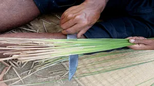 Madur Kathi