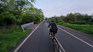 Cycle Day