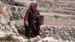 Siachen Naturals