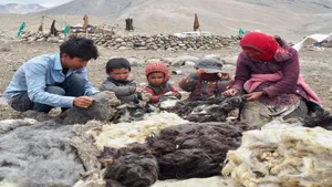 Eri silk, yak wool, sheep wool, and lambswool authentic products