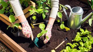 5 kitchen gardens