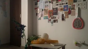 delhiflatdecor