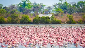 4 RAMSAR SITE GOA