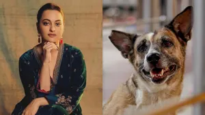 Sonakshi Sinha Stray Dogs