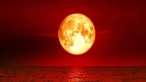 boold moon