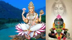 ््