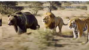 viral video race 