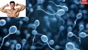 Sperm Quality: